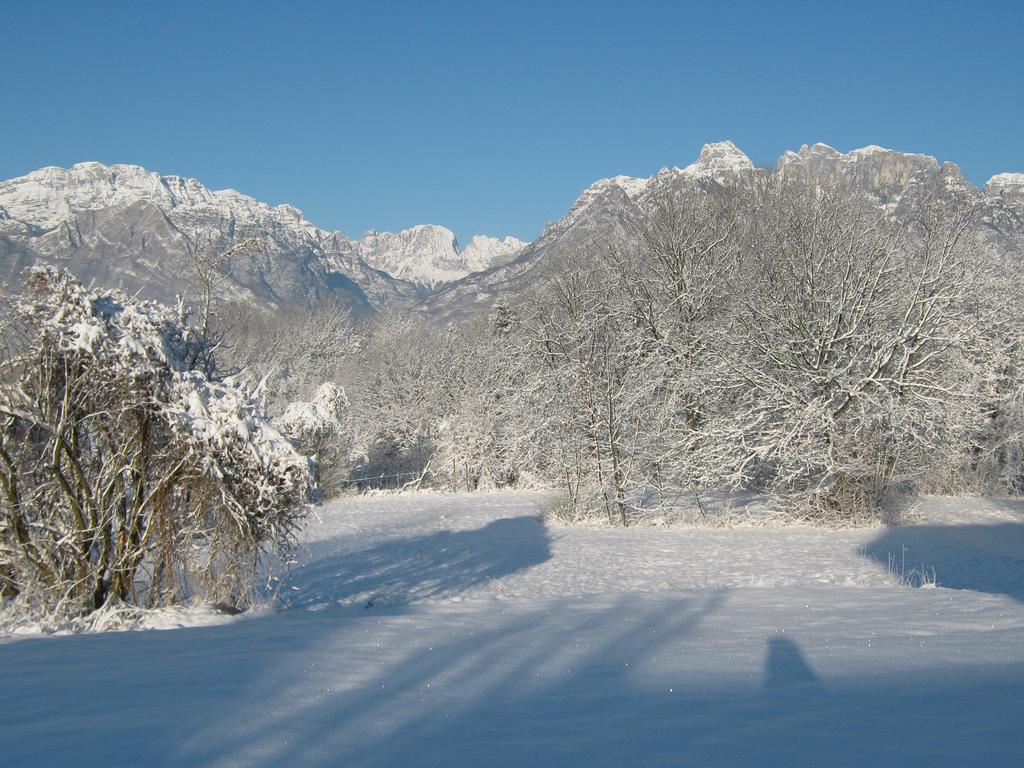 B&B Col Del Vin เบลลูโน ภายนอก รูปภาพ