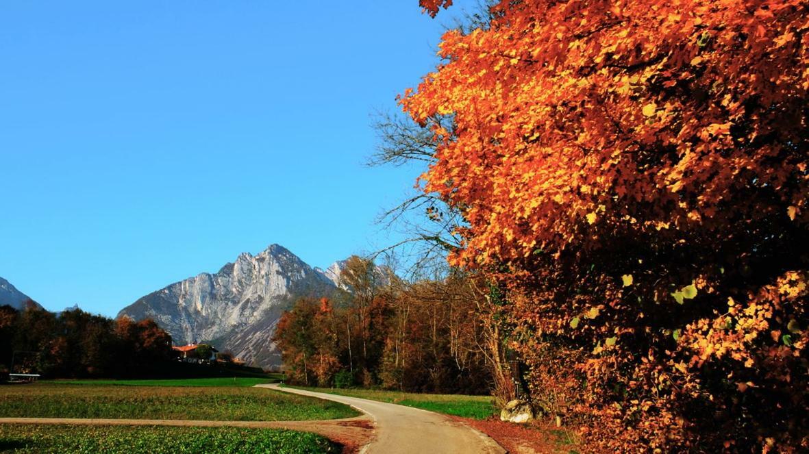 B&B Col Del Vin เบลลูโน ภายนอก รูปภาพ