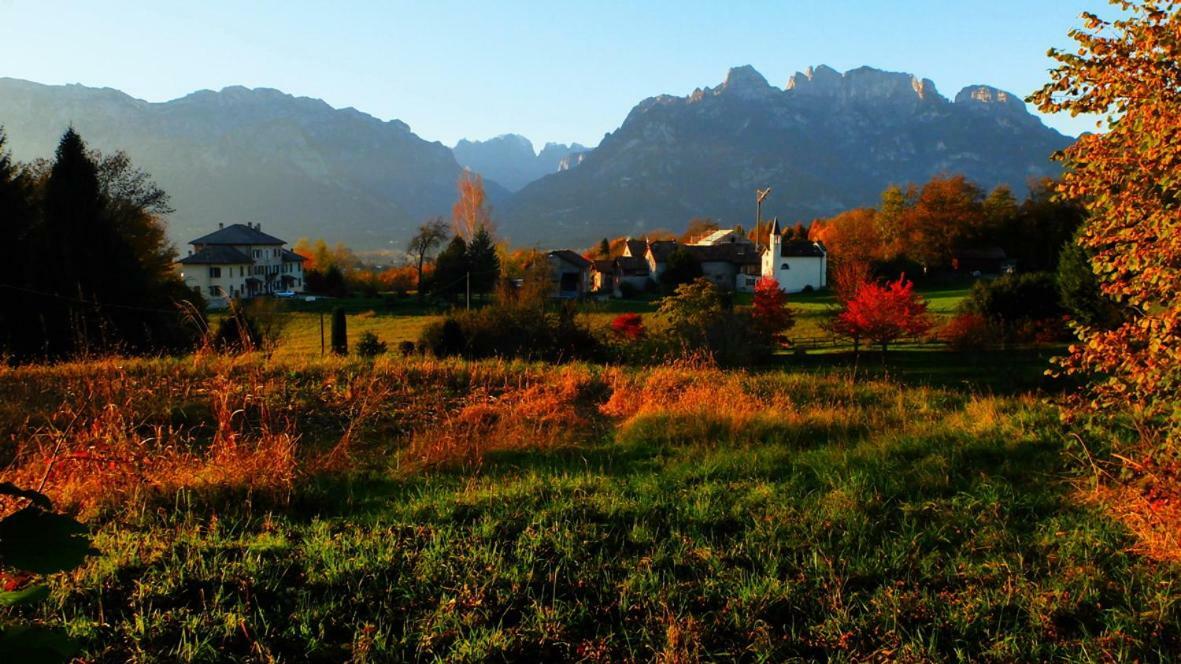B&B Col Del Vin เบลลูโน ภายนอก รูปภาพ