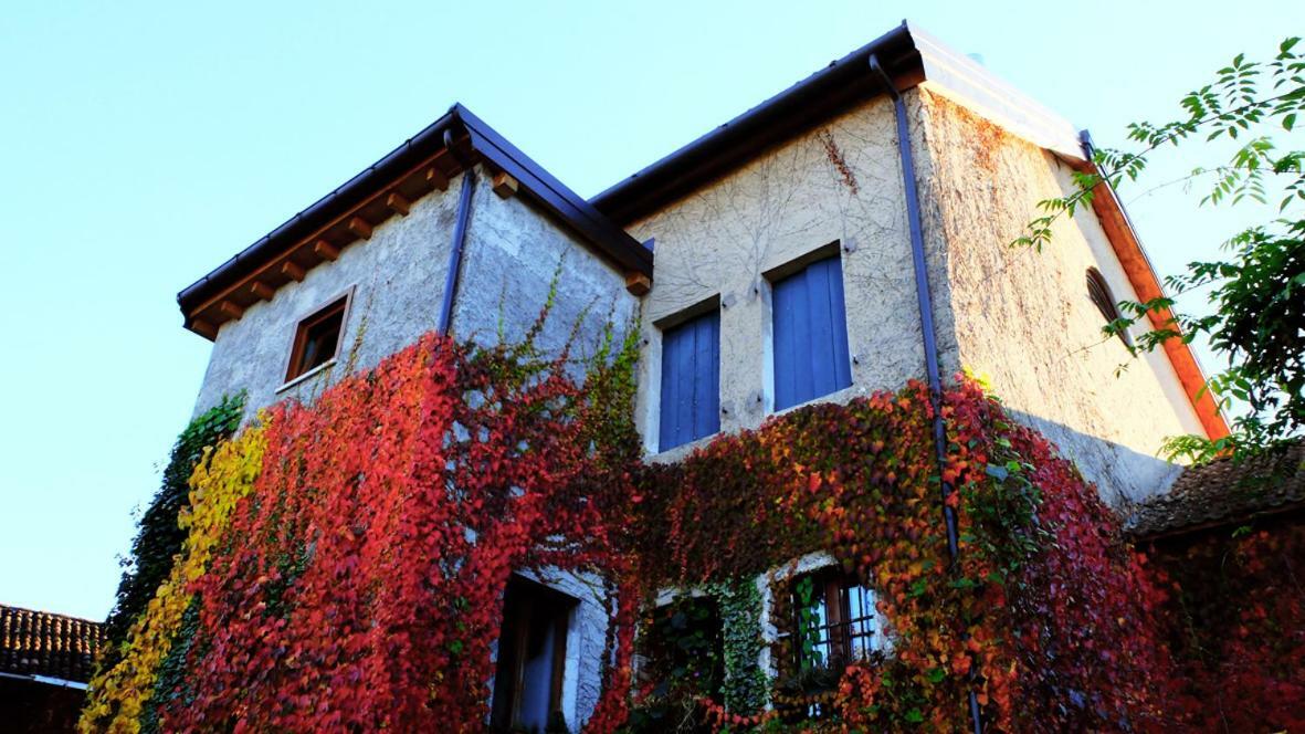 B&B Col Del Vin เบลลูโน ภายนอก รูปภาพ