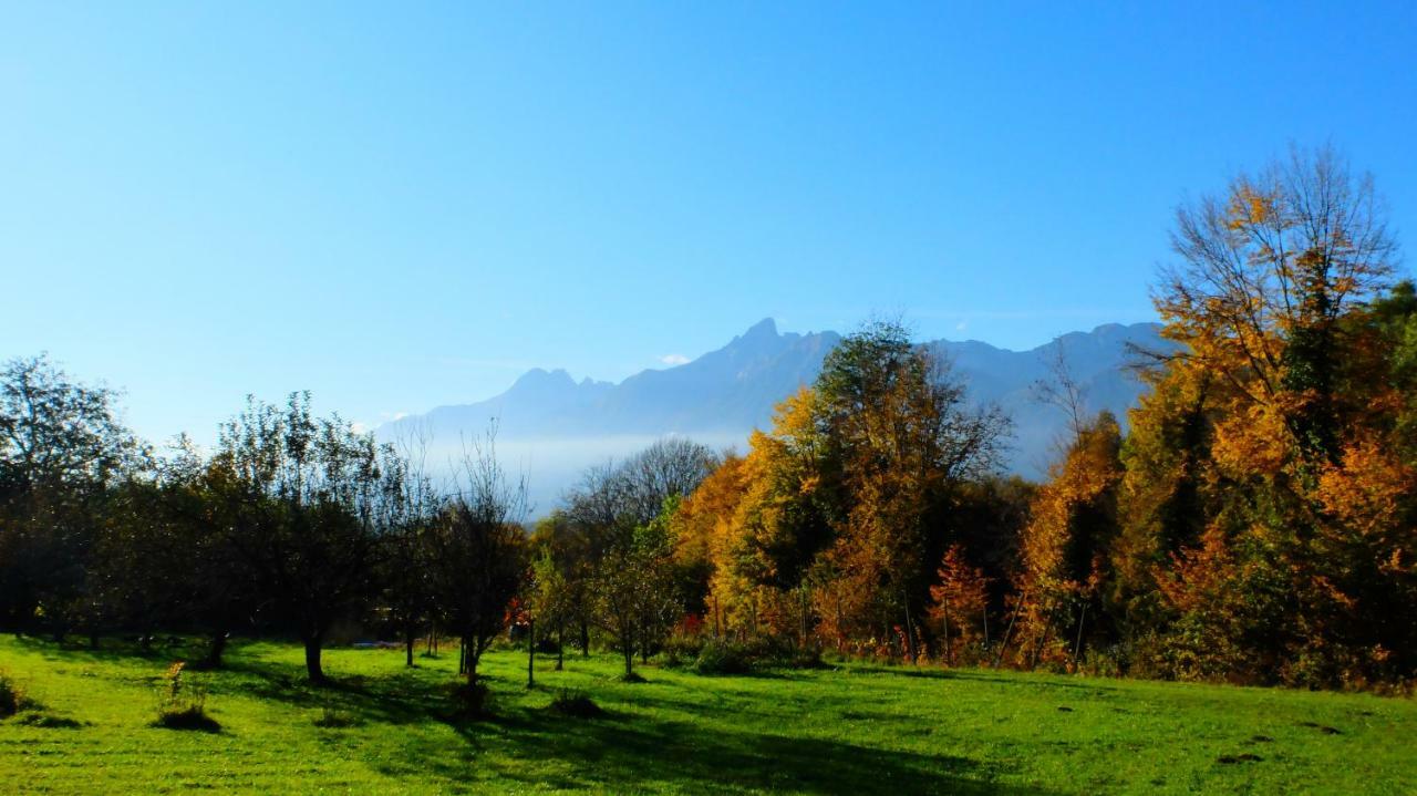 B&B Col Del Vin เบลลูโน ภายนอก รูปภาพ